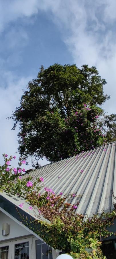 Munnar Tea Hills Resort - Mthr Εξωτερικό φωτογραφία