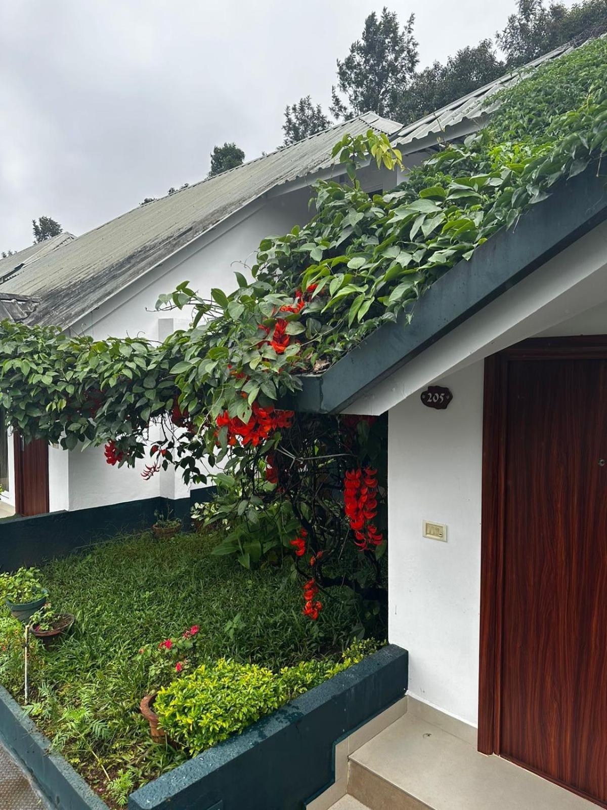 Munnar Tea Hills Resort - Mthr Εξωτερικό φωτογραφία